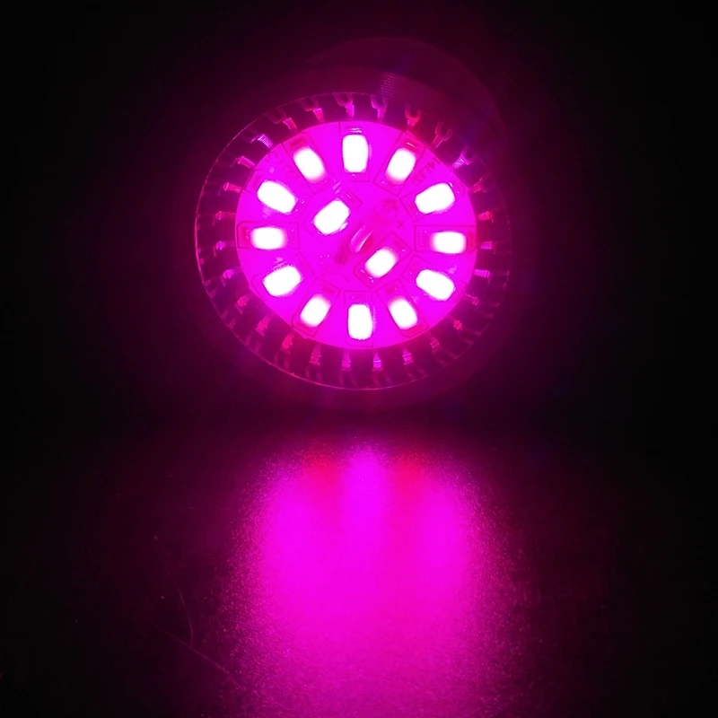 indoor grow light (5)