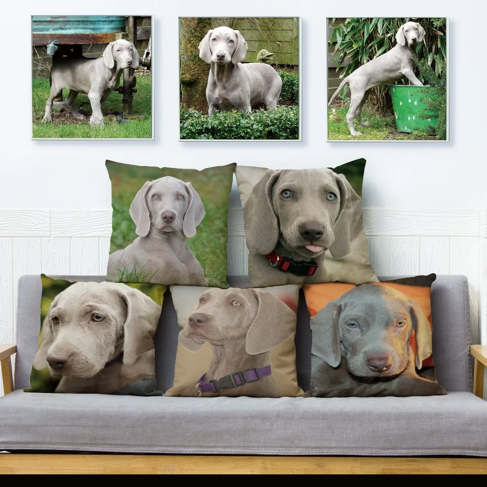 

Germany Weimaraner Dog Cushion Cover for Car Sofa Home Pillow Case Decor Animal Pillowcase Linen 45*45cm Pillow Cover