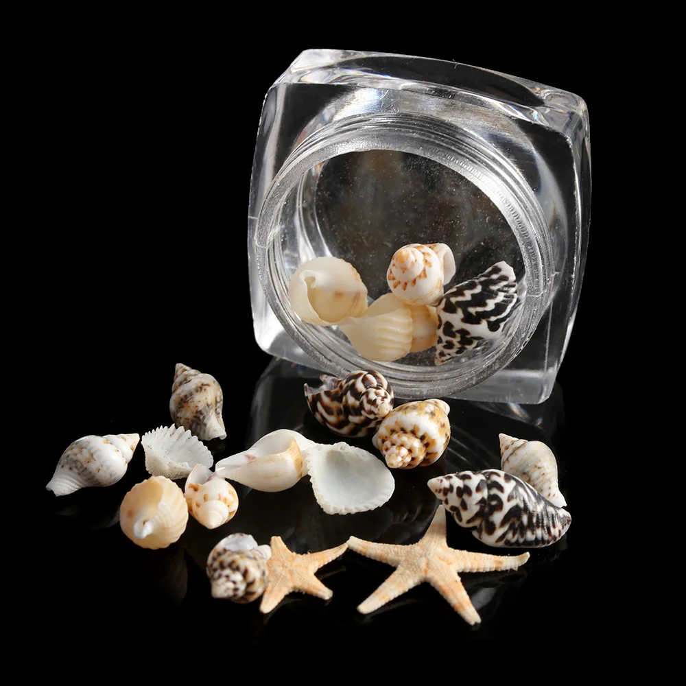 1 коробка, 3D натуральный дизайн ногтей, украшение, мини раковины, Морская звезда, морской пляж, украшения, маникюрные инструменты для самостоятельного украшения ногтей, красота