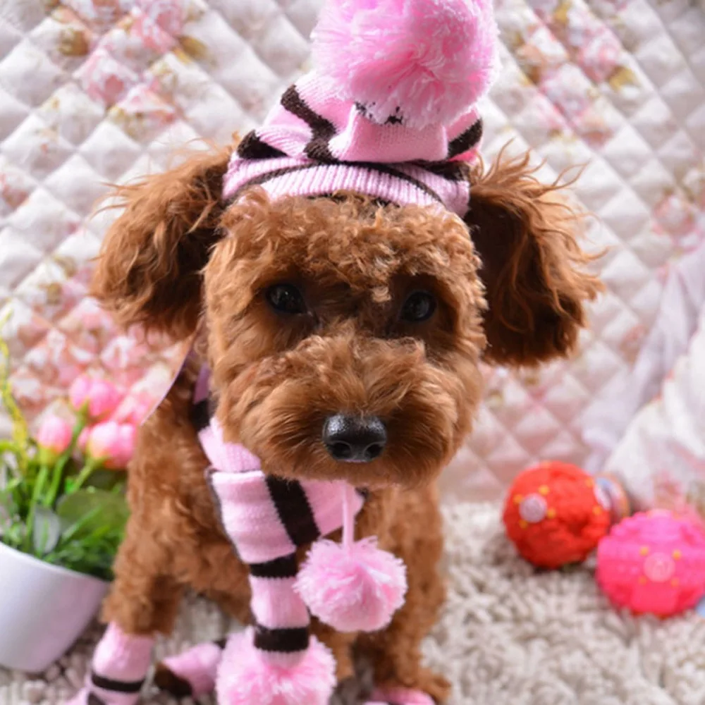 Pakaian Anjing Untuk Anjing Kecil Musim Dingin Hangat Rainbow Topi