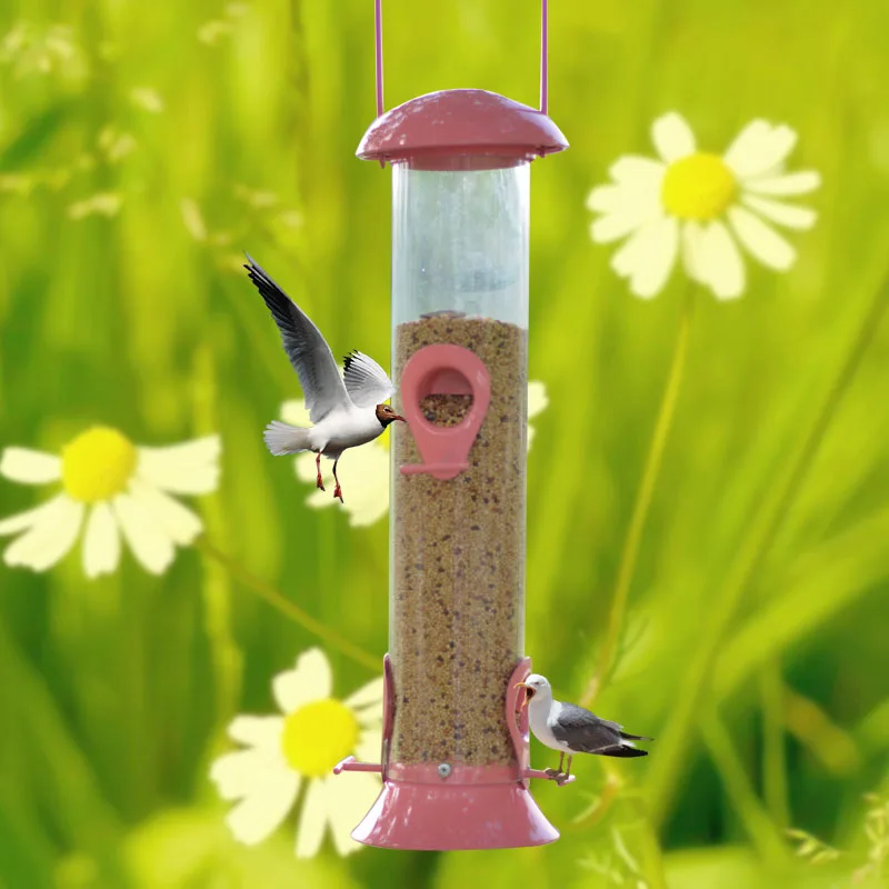 Wild Bird Food Container Gif