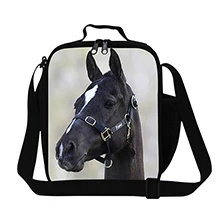 luch bag.jpg