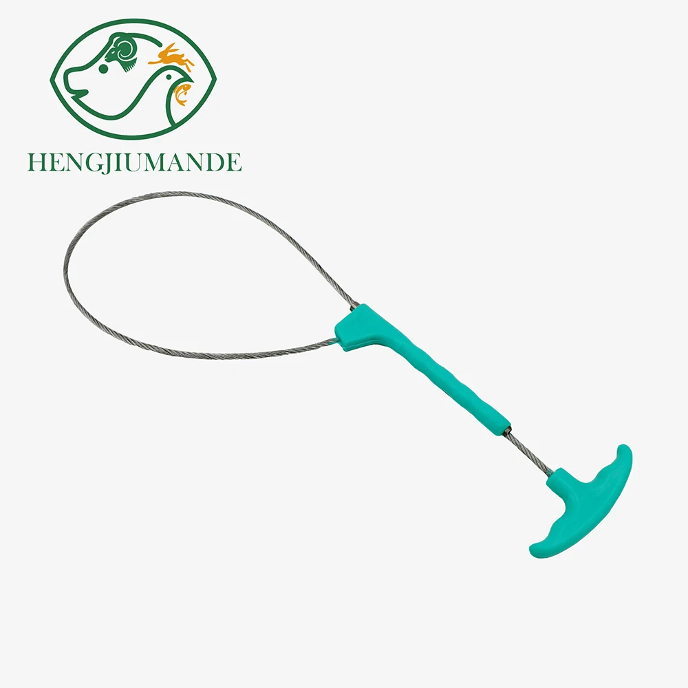 

1 Pcs Pig Baoding Set Pig Fixed Rope Wire Ropes Sleeve Stockbreeding Tool Veterinary Equipment