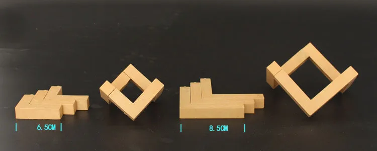 9165695613_1748069829