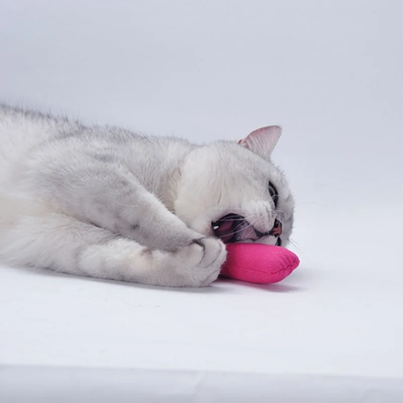 Популярные Quanlity интерактивные кусачки Catnip милые мяты модные игрушки большой палец зубы домашних животных когти высокий Кот шлифовальный