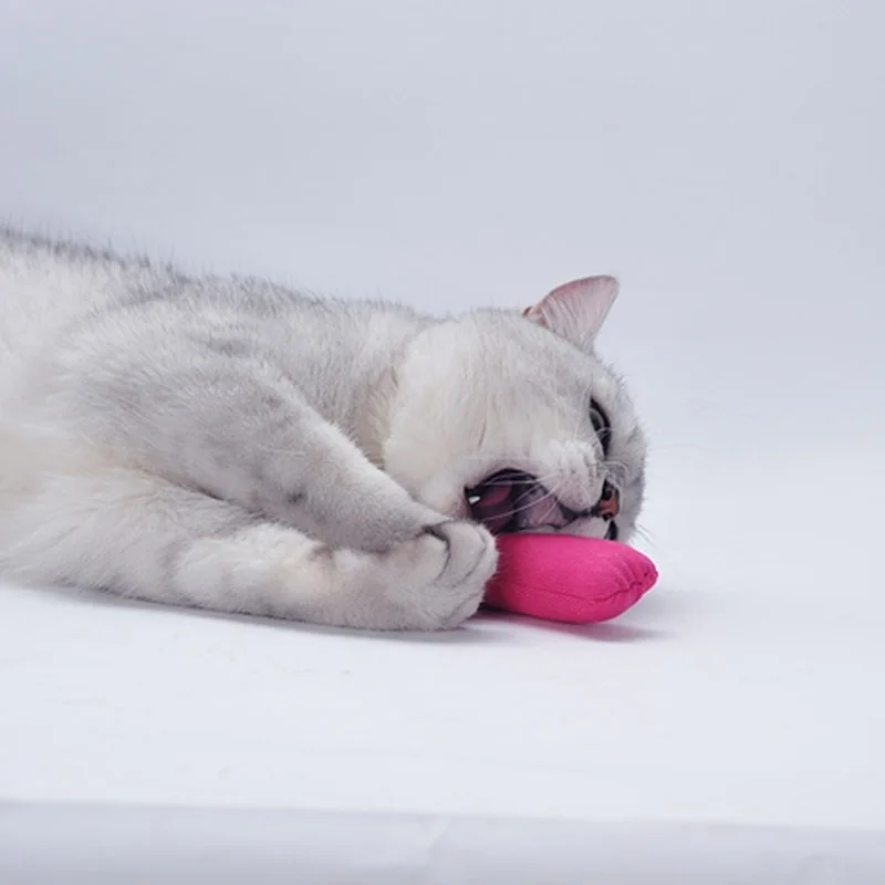 Cat Toys Funny Grinding Catnip Interactive Plush Cat Toy Pet Kitten Chewing Toy Claws Thumb Bite Cat Mint For Cats Teeth Toys