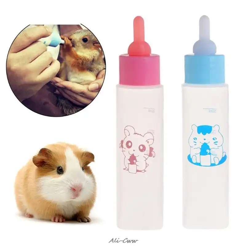 squirrel nipple bottle