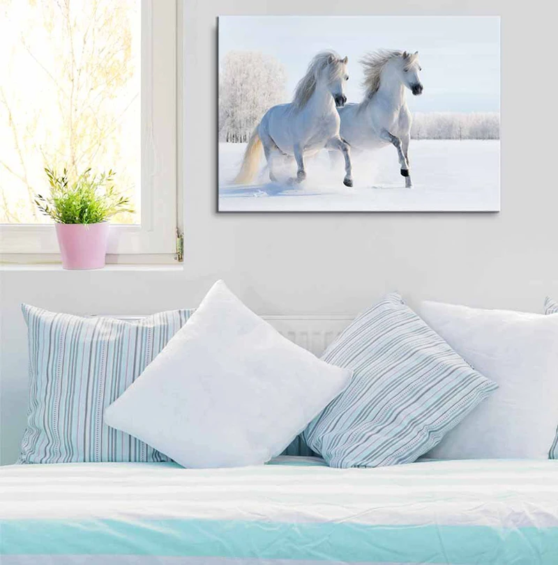Canvas Prints Wall Art - Two Galloping White Welsh PoniesHorses on Snow Field  Modern Wall DecorHome Decor Stretched Gallery Canvas Wraps Giclee Print & Ready to Hang - 24 x 36