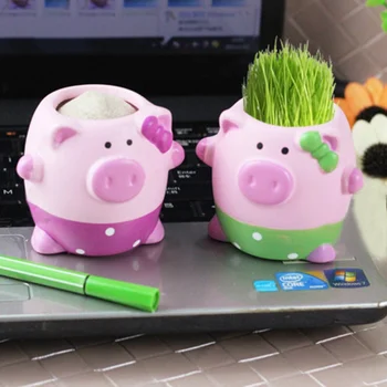 

Cute Succulent Plants Flower Pot Planter New Year Kawaii Little Animals Ceramic Flowerpot Pig Elephant Hedgehog Planter