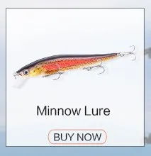 Minnow