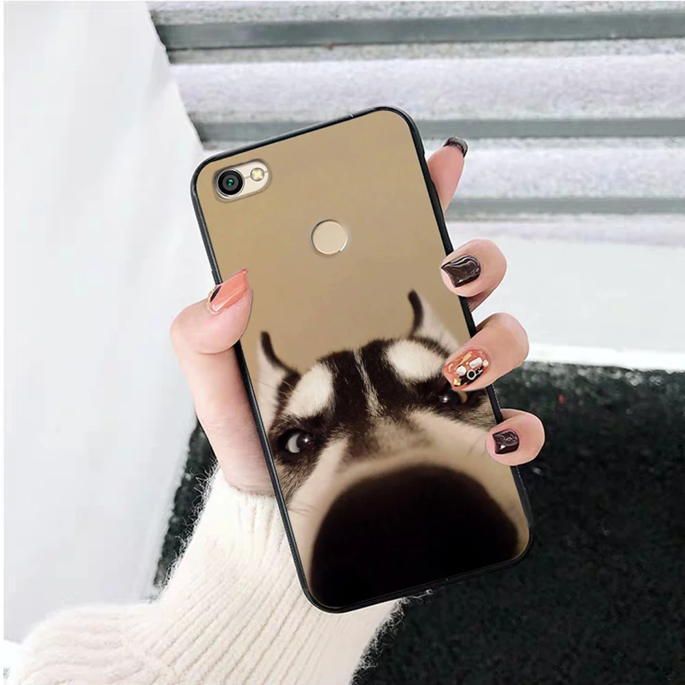 Силиконовый чехол Lavaza с изображением животного Хаски для Xiaomi Redmi 4A 4X 5 5A 6 6A 7 7A 8 8A K20