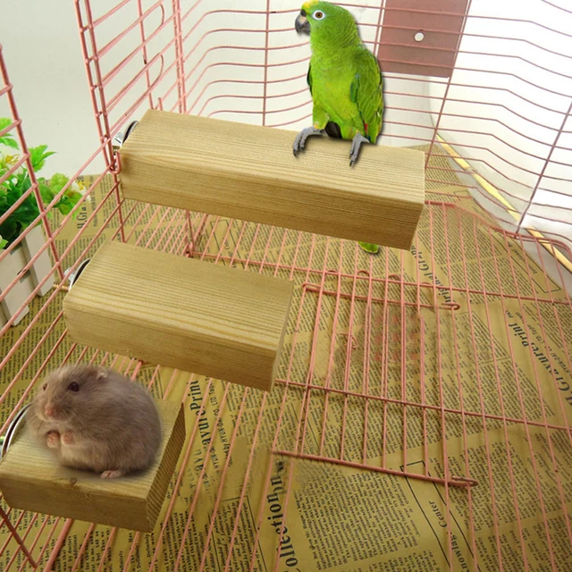 Détails Sur Animaux Mangeoire à Oiseaux Cage à Oiseaux Maison Forme Transparent Acryliq I5r5