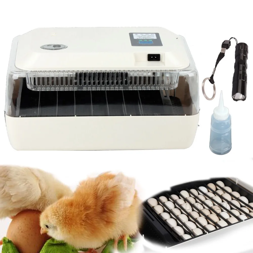 (Ship from AU) Auto Turning Digital 24 Eggs Incubator