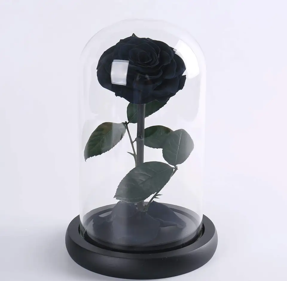 HTN - Romantico Regalo Di San Valentino Di San Valentino Decorazione A Led Di Fiori Di Fiore Rosa In Vetro 8291653219334