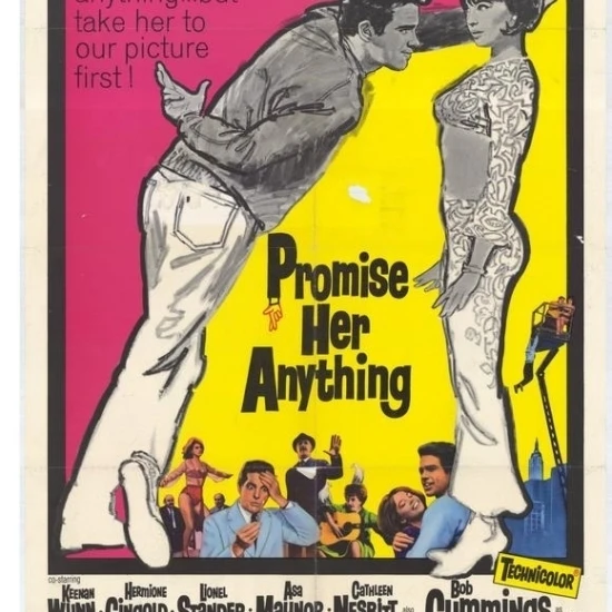 Promise Her Anything Movie Poster (27 x 40)