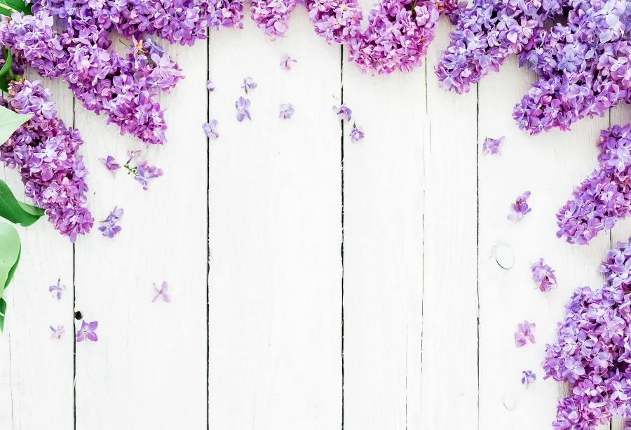 Laeacco Lavender Flowers Wooden Boards Floor Texture Scene Baby Photography  Backgrounds Photographic Backdrops For Photo Studio - Backgrounds -  AliExpress