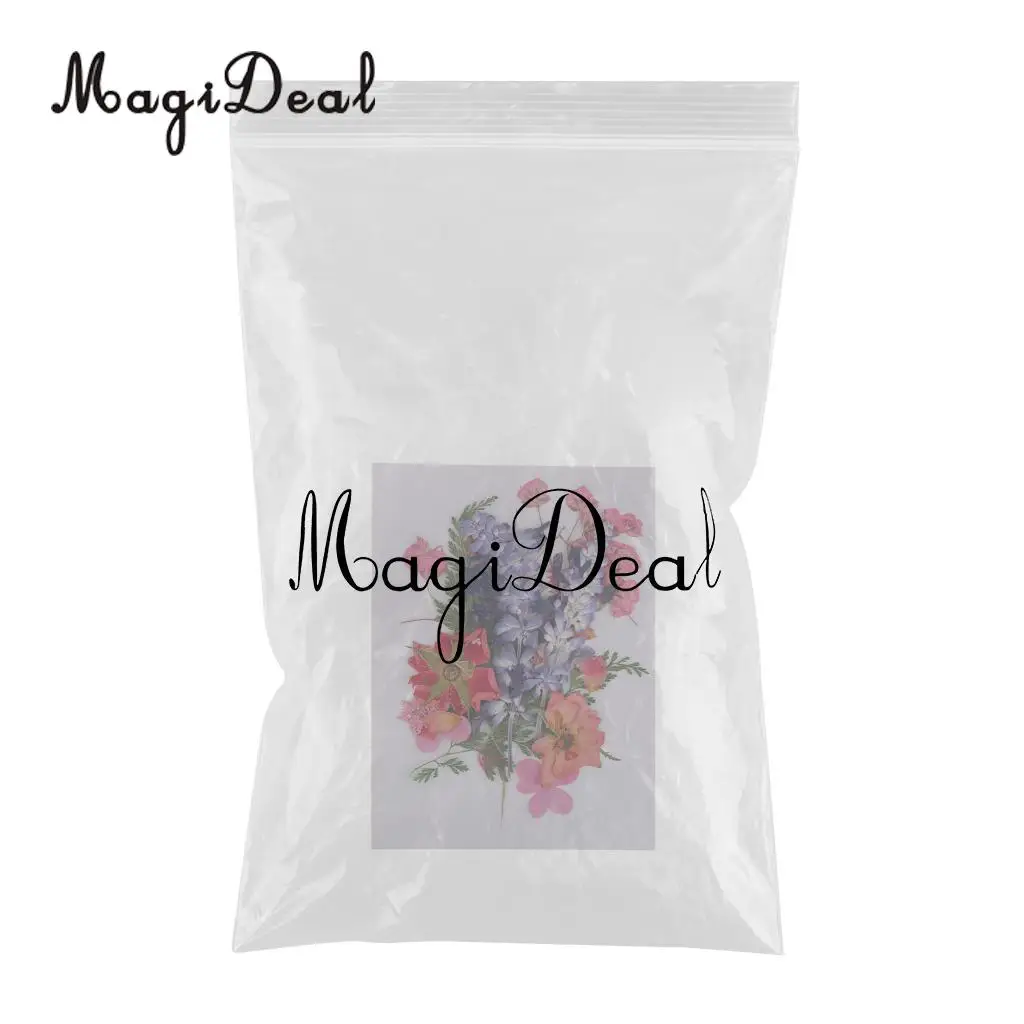 Multiple Beautiful Real Pressed Flower Dried Flowers Press Leaves for Art Craft Scrapbooking Resin Jewelry Phone Case Soap DIY