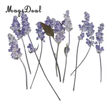 MagiDeal 10 шт. красивый прессованный цветок шалфея сушеные цветы для художественного ремесла Скрапбукинг эпоксидная смола Изготовление ювелирных изделий DIY украшения