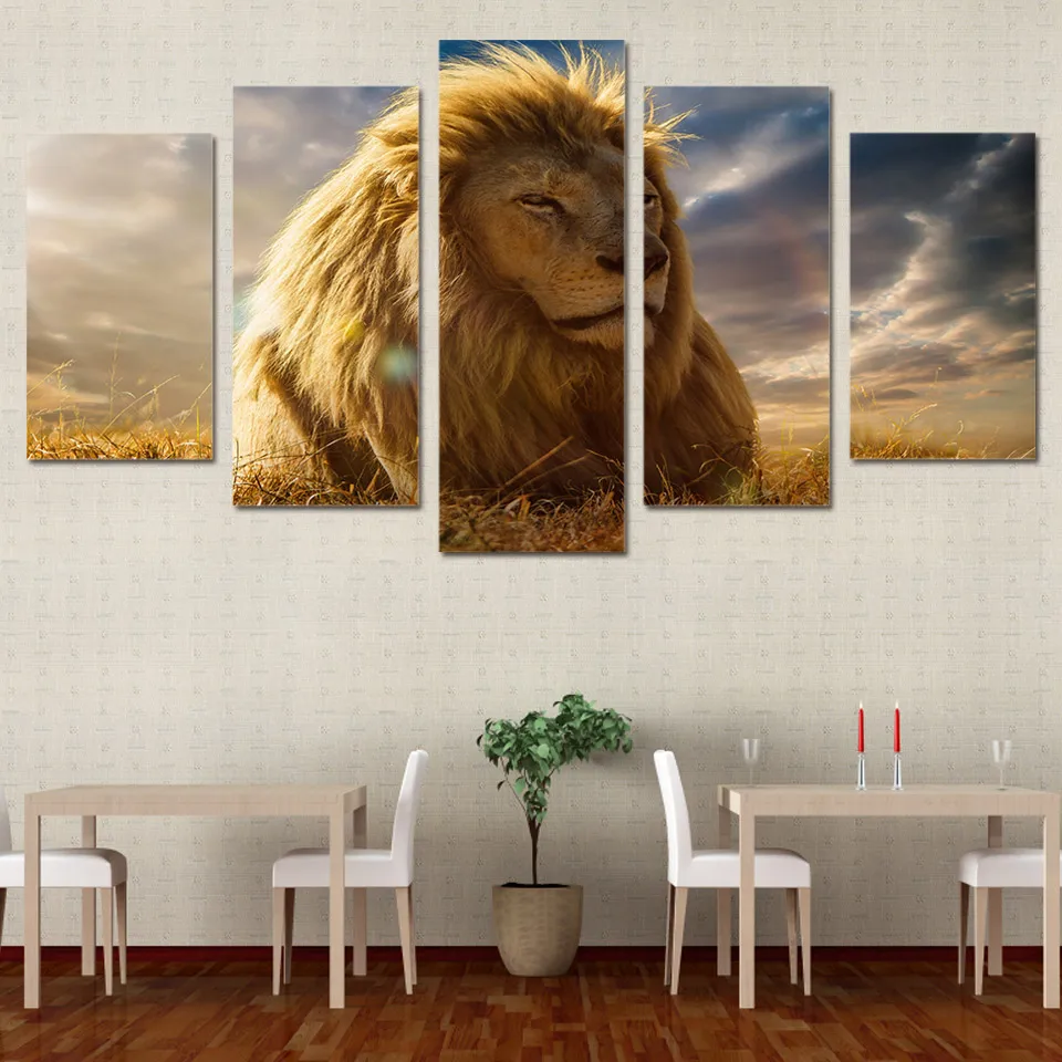 Animal lion king-2