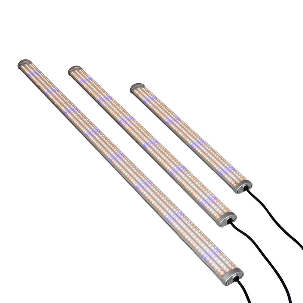 3 Year Warranty LED grow light strip full spectrum fitolampy for indoor seedling Vegetable Greenhouse Grow Tent phyto lamp