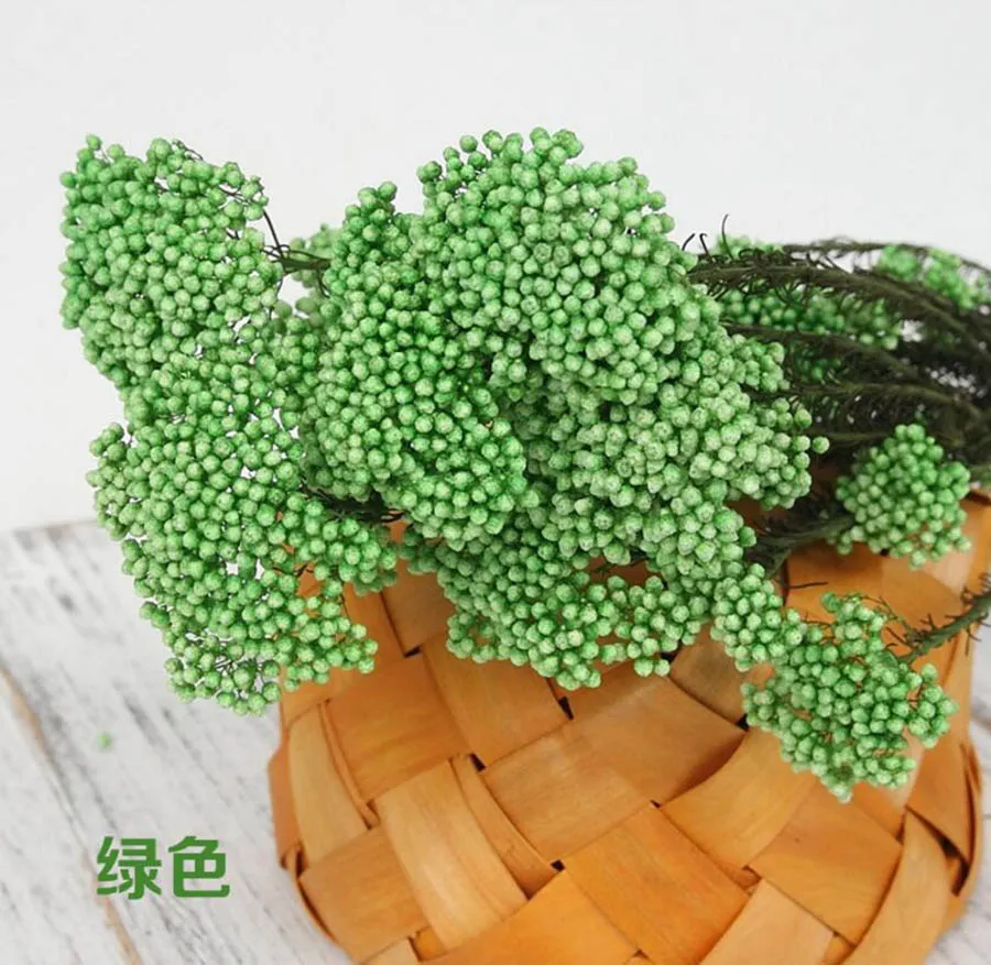 永生米花(爱考拉电子)-绿