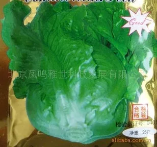 

Italian lettuce bonsai 200pcs