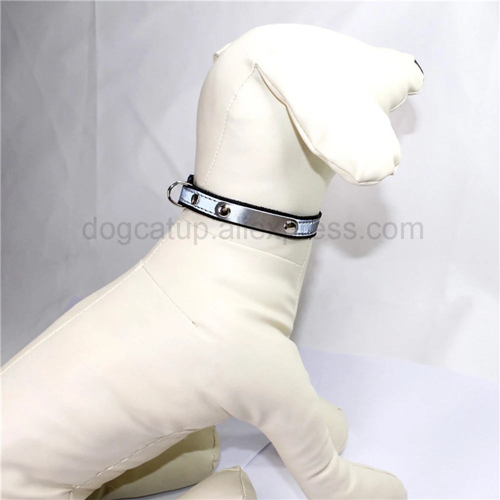 7860416830_1812999753 