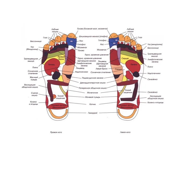 Массаж акупунктурных точек стопы- известное средство для поднятия тонуса всего организма. Специальные массажные тапочки из натуральных материалов обеспечат отличный массаж активных точек стопы