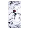 dls1rose