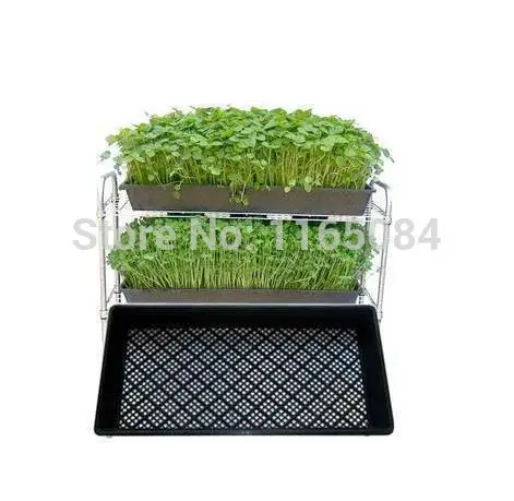 

garden supplies Hot sale Seedling tray sprout plate nursery pots tray box 54*28*5