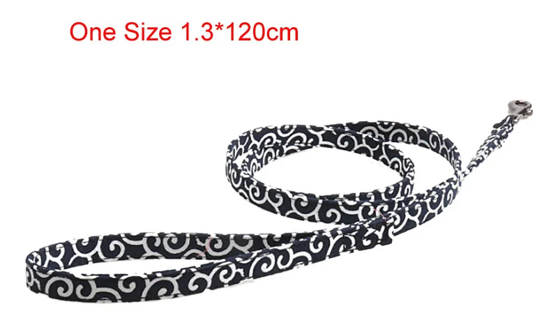 dog leash-