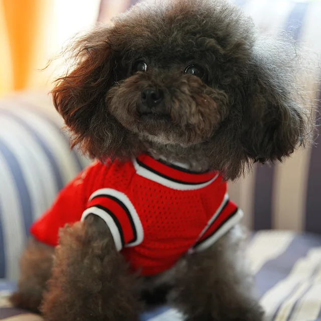 Dog jersey for Small Dog (10)