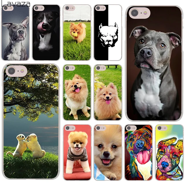 coque iphone 7 pitbull coque iphone 7 pitbull