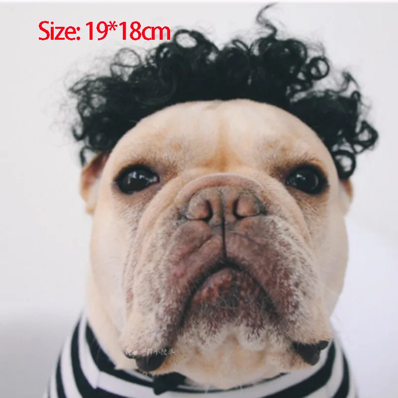 Soft Synthetic Hair Curly Wig Cap Pet Dog Puppy Afro Wig Curly