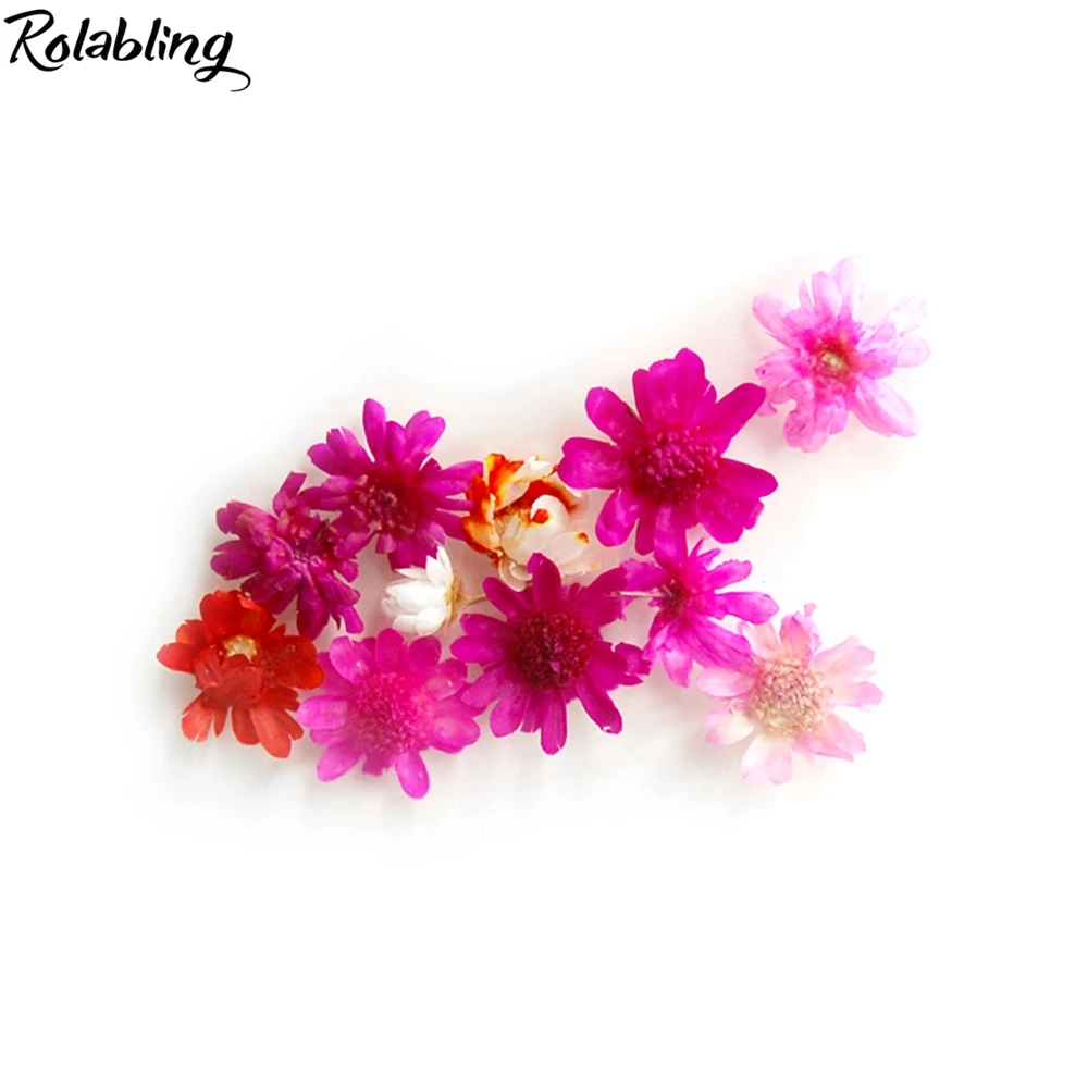 

Rolabling Nail 3D Decoration DIY Mixed Dried Flower Leaf Nail Stickers for Manicure Nail Art Decoration Gel Nail Art Tips Beauty