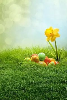 

5X7ft Easter vinyl photography backdrops newborn computer print background for photo studio F-020