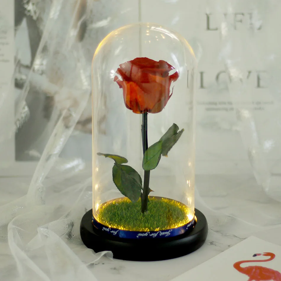Роза в стеклянном куполе красота и чудовище вечная роза цветок Цветочный декор День Святого Валентина Gif День рождения Рождество свадебный подарок