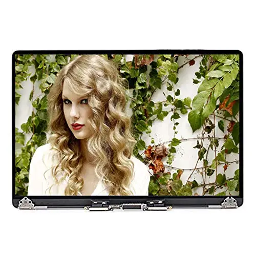 Полностью протестированный подлинный серый поздний 2016 mid 2017 год A1708 LCD для Macbook PRO