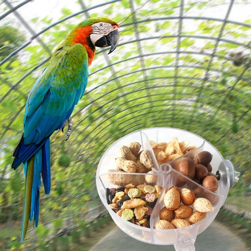 

Parrot Foraging Wheel Gnawed Toy Bite Resistant Food Box Bird Feed Storage Cases Transparent Birds Foraging Wheel Bird Feeder