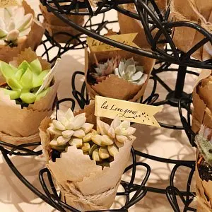 

personalize text succulent favour flags wedding birthday cupcake toppers let love grow birthday party favor gift flags