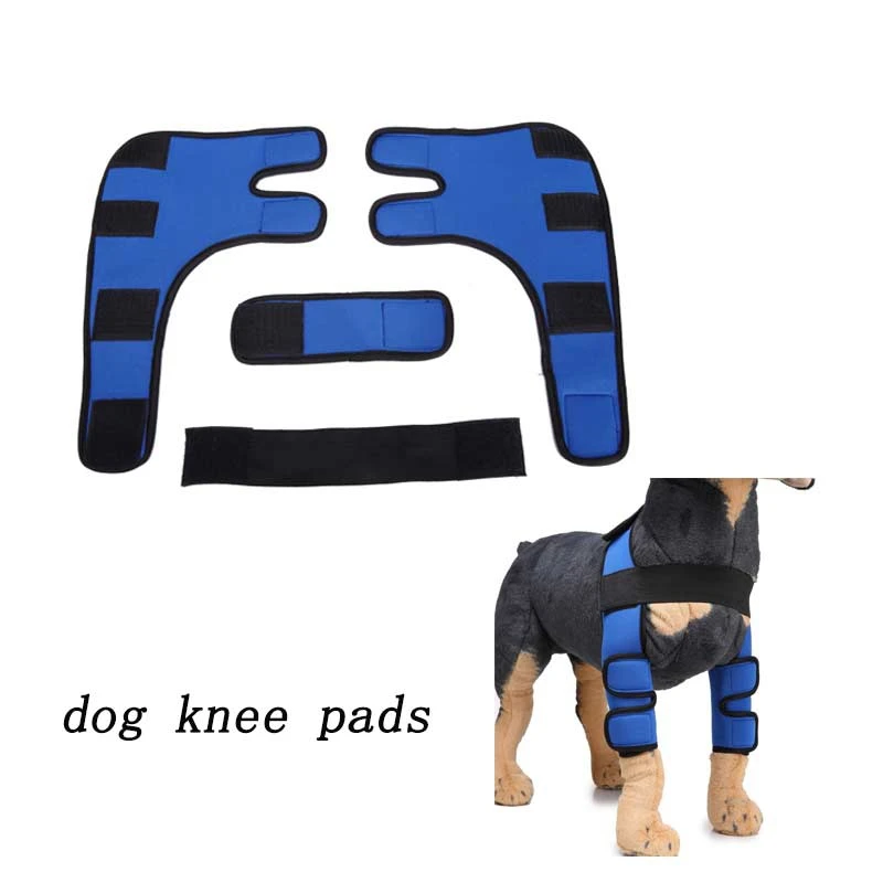 

Pad Knee Joint Protection Dog Leg Support Knee Pads Dog Hock Brace Tools Canine Rear Leg Hock Joint Wrap Protects Wounds Heal