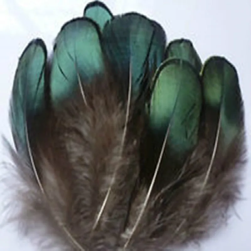Розничная продажа перьев 50 шт./лот DIY Peafowl натуральные зеленые перышки павлина