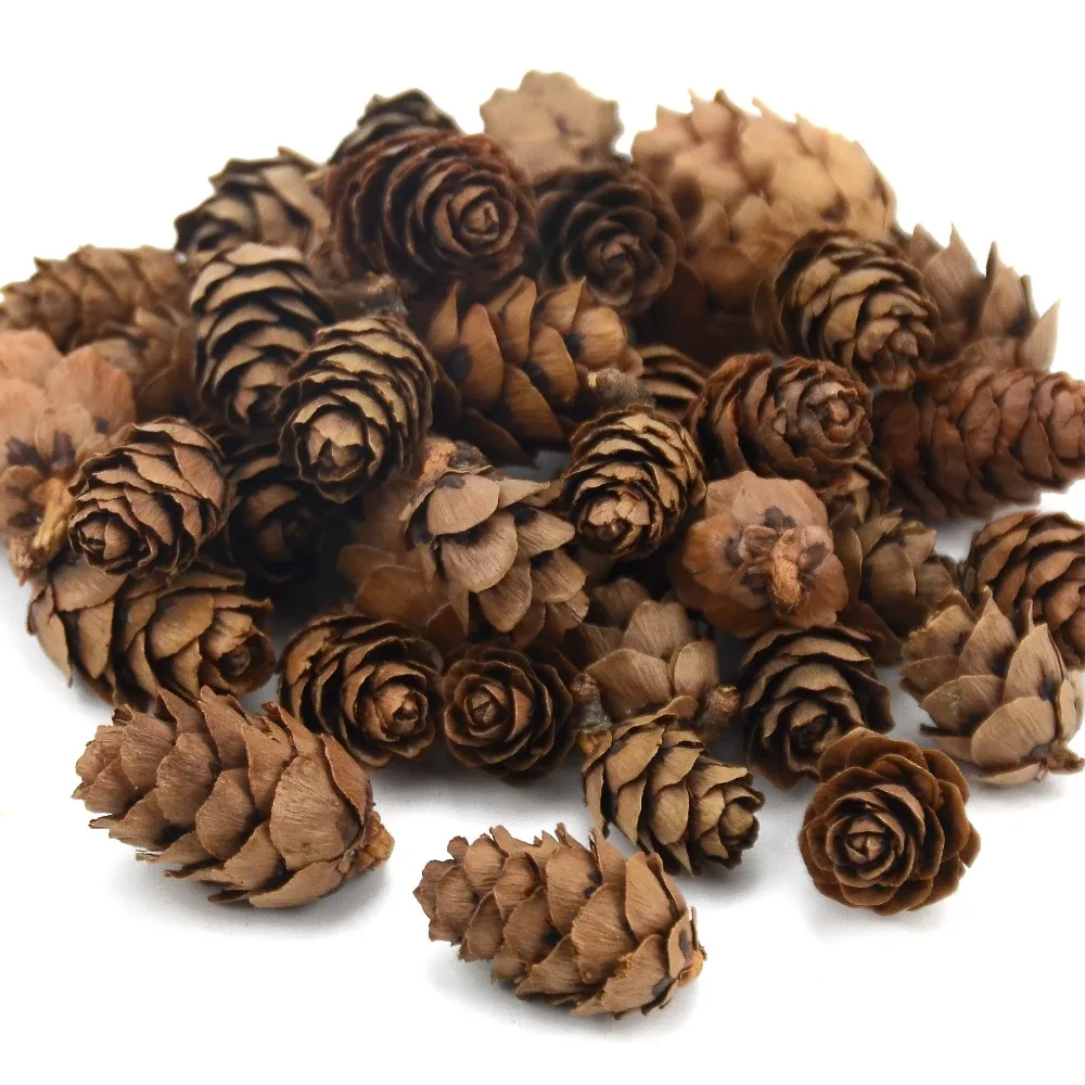 

200pcs Natural Cheap Mini Pine Nuts Artificial Fake Fruit Vegetable For Home Wedding Decoration Cognitive Toy Table Decoration