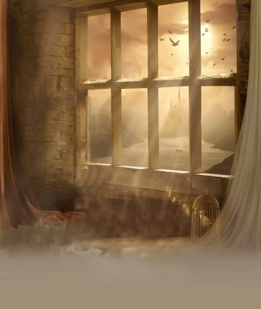 

Vintage Window Photography Backdrops Photo Props Studio Background 5x7ft