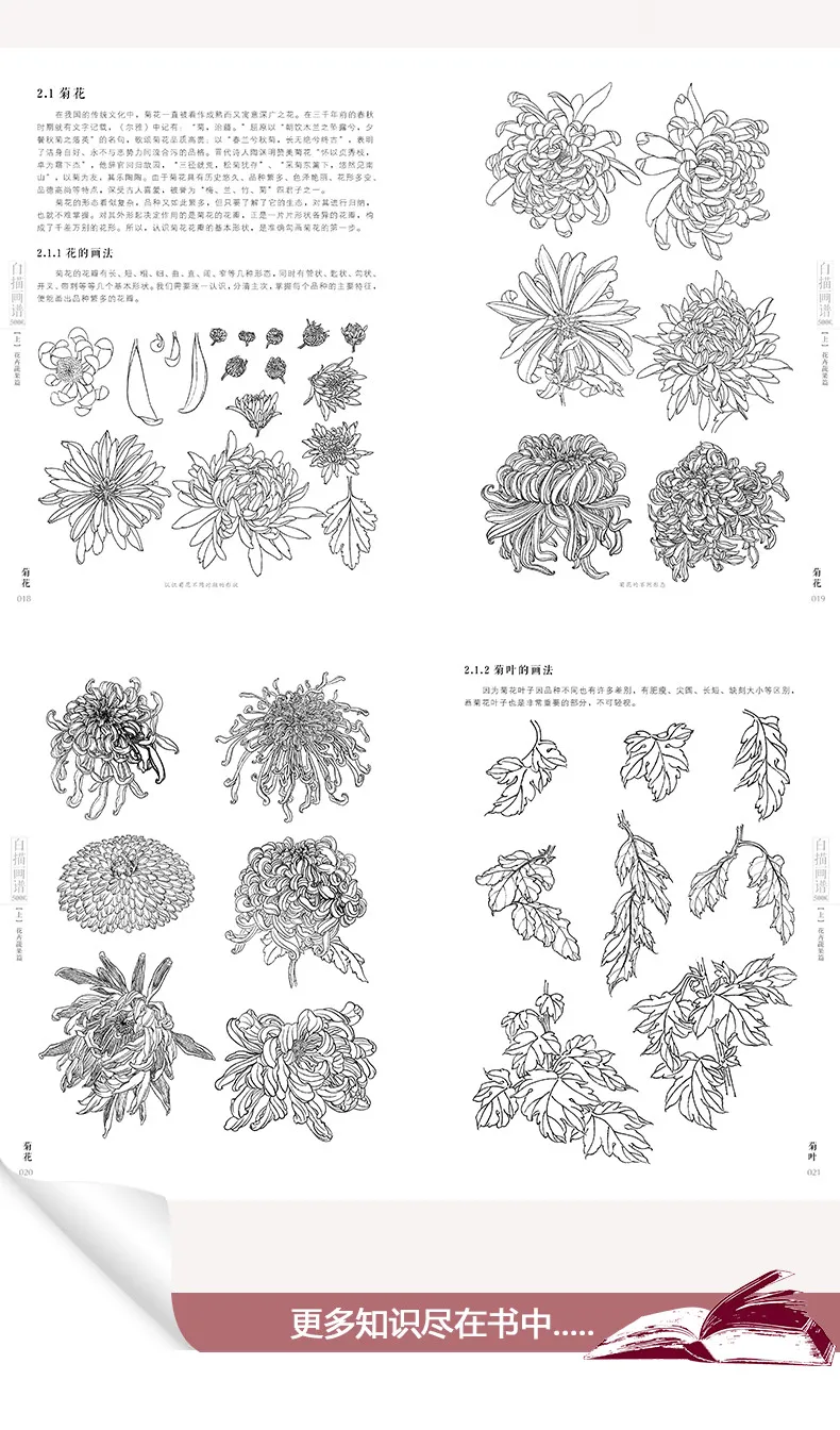 Новинка,, китайское рисование линий, художественная книга для начинающих, 5000 чехлов, китайская птица, цветок, пейзаж, gongbing, живопись, книги