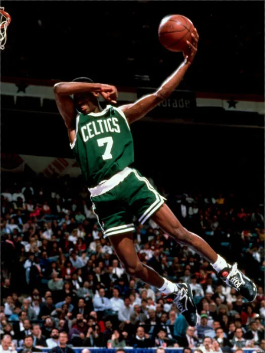 dunk low pro ishod wair