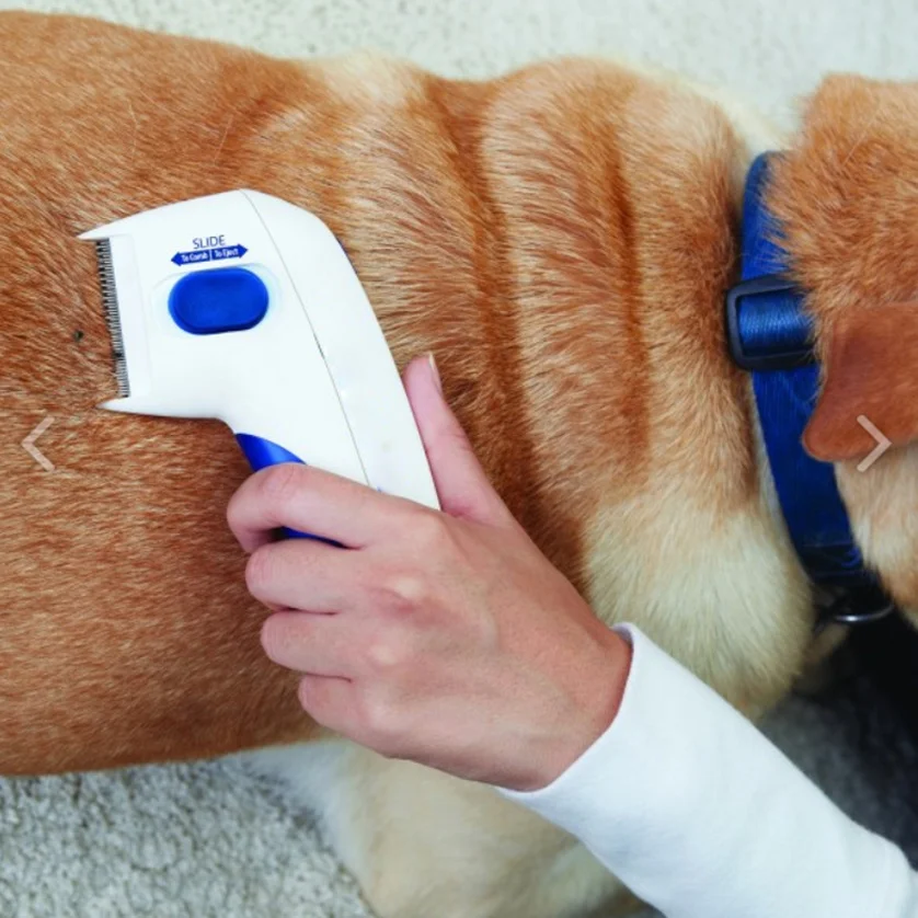 

As Seen On TV Flea Electric Flea Comb Great Doctor for Dogs Cats! New! Pet Flea Cleaner Drop Shipping 2019