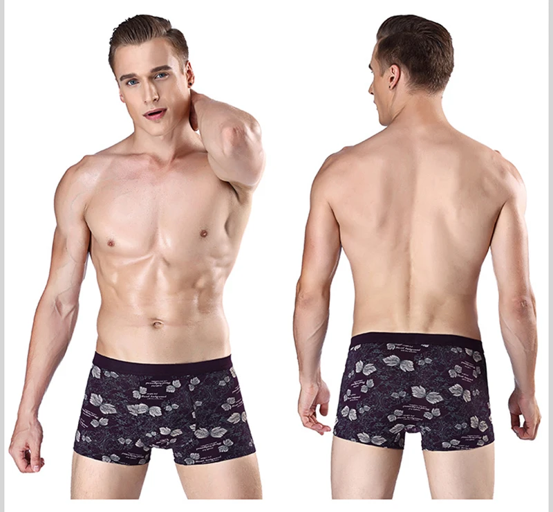 boxer010