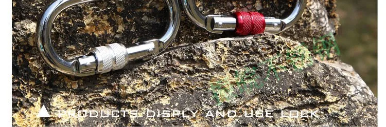 2291467591_1757112393