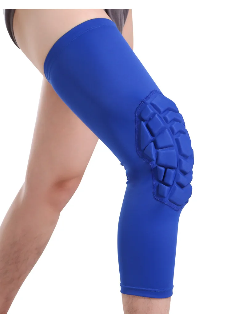 9267526672_129363736